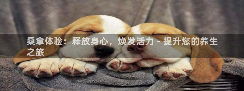 必赢棋脾