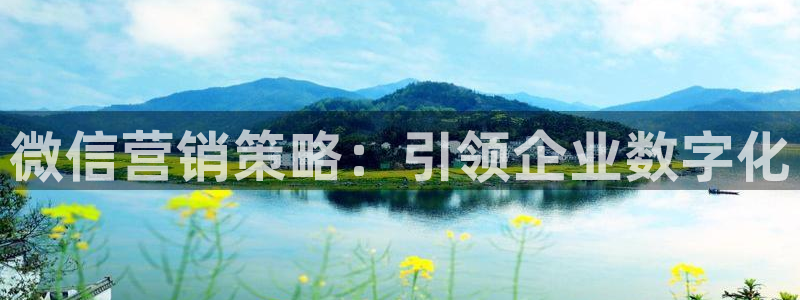 必赢平台网站多少