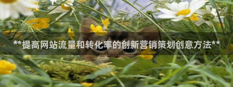必赢下载安卓版最新版
