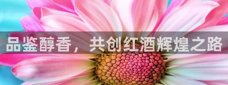 必赢官网网址多少号