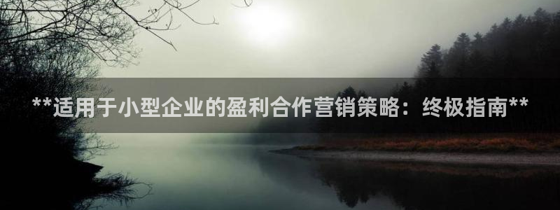 必赢线上网址是什么