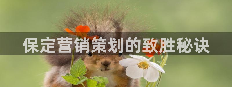 必赢国际的网站多少