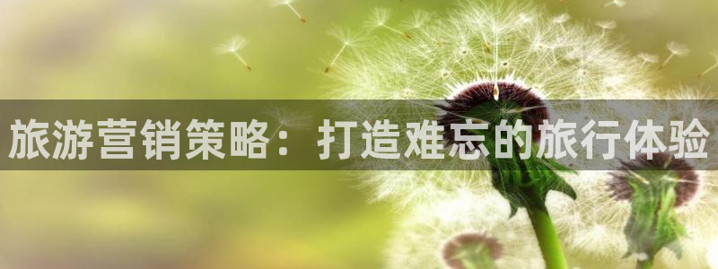 必赢官网网站