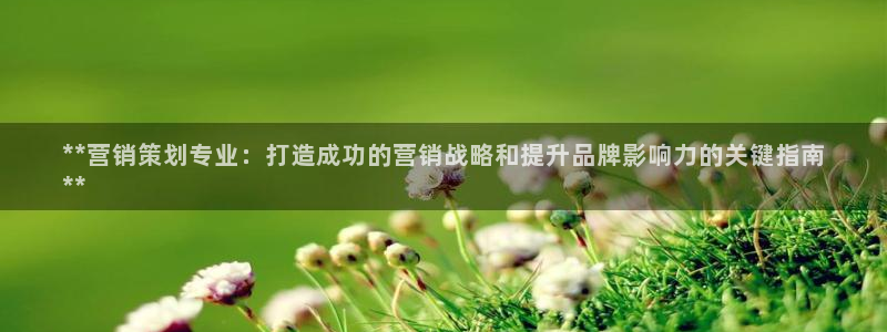 必赢最新