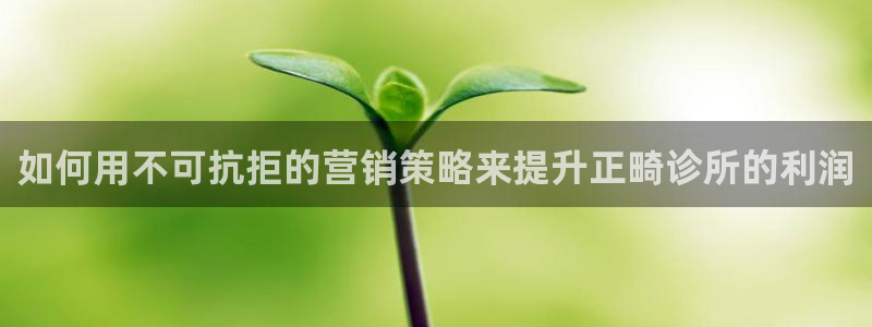 必赢集团网站是什么