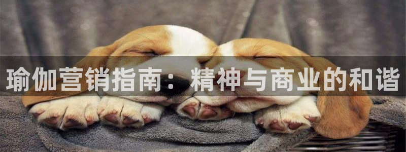 必赢qp