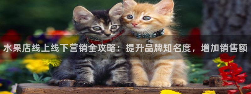 必赢8833扑鱼
