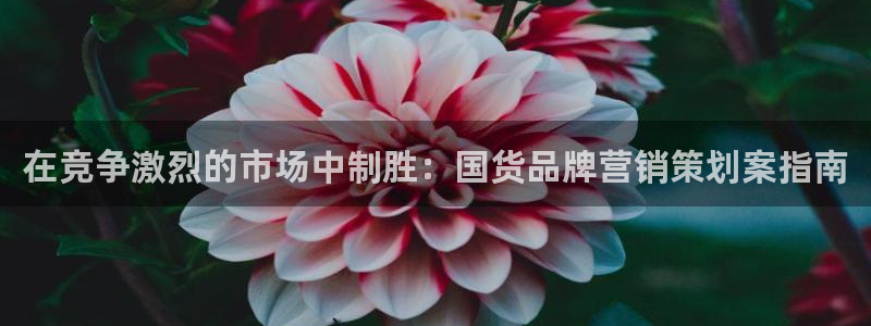必赢官网app下载安装最新版