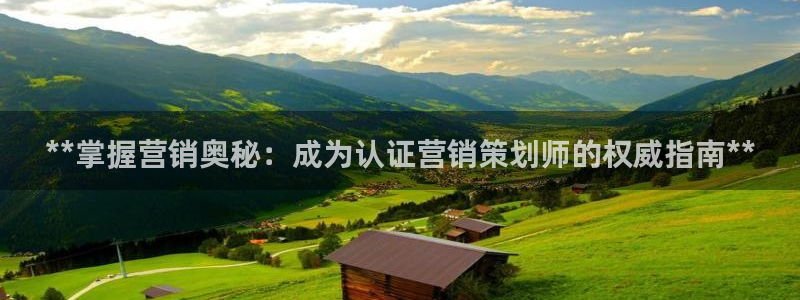 必赢手机app下载抢红包