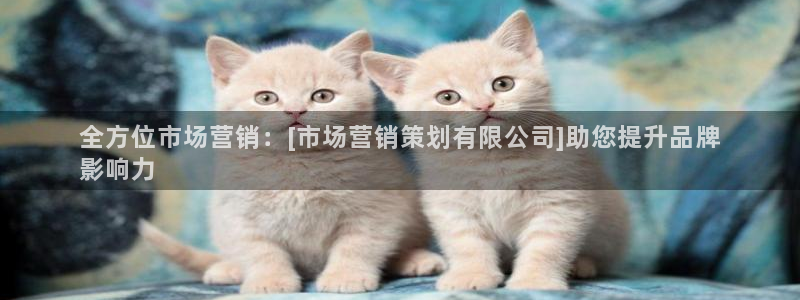 必赢766