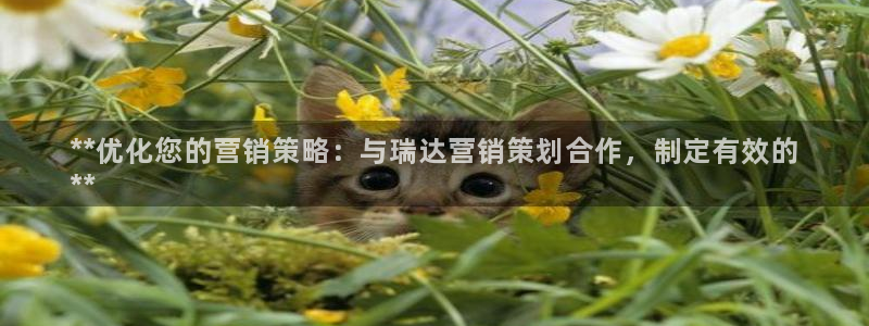 必赢app官方网站