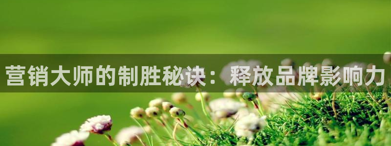 必赢官网网址多少号