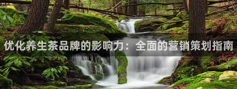 必赢棋盘9965.0版本