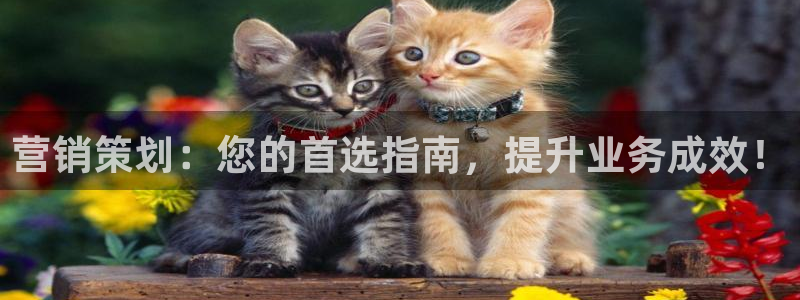 必赢下载安卓版最新版