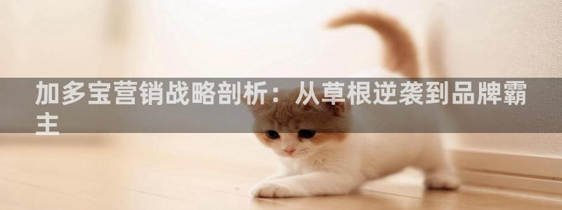 必赢资讯下载
