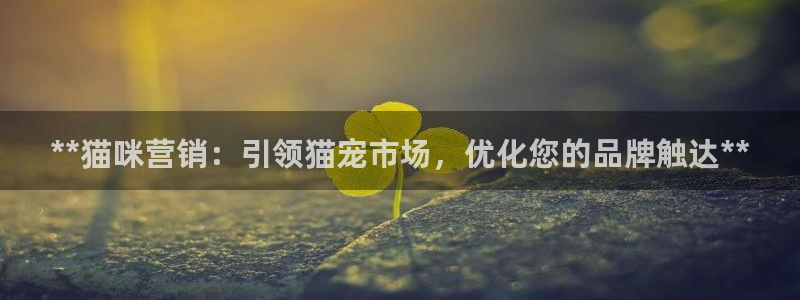 必赢首页