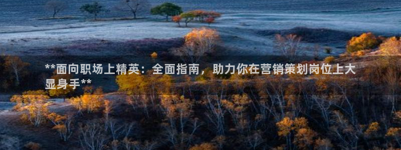 必赢平台网站多少