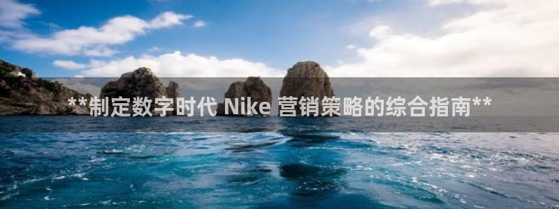 必赢平台网