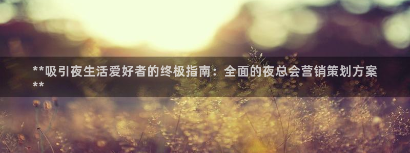 必赢客软件