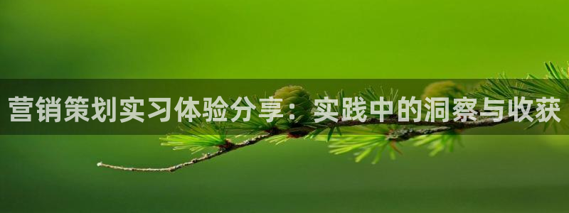 必赢72886后面字母是多少