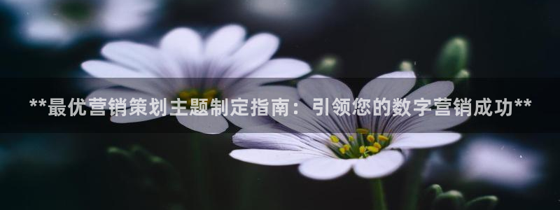 必赢下载安卓版