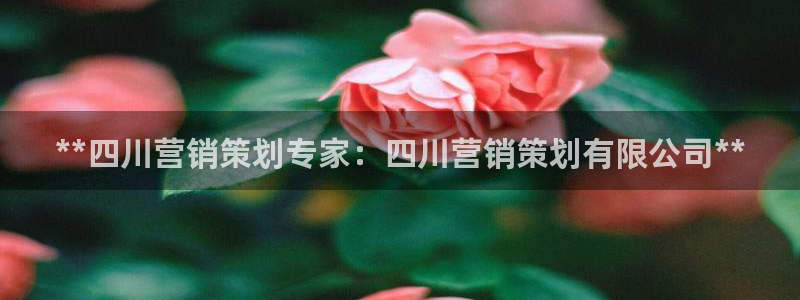 必赢这个平台怎么样啊