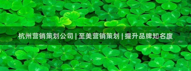 必赢网址
