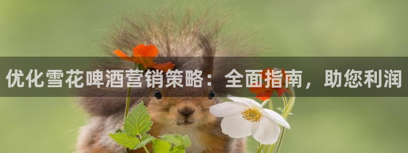必赢国际437