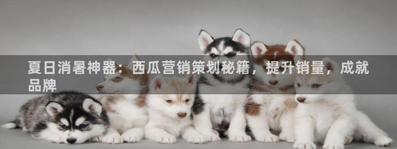 必赢国际437官方