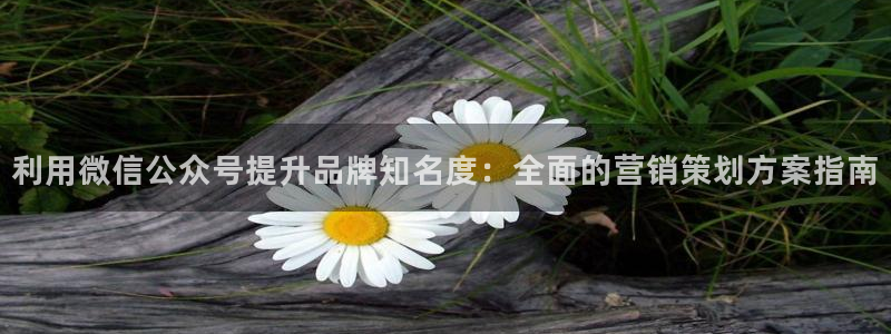 必赢下载安卓版