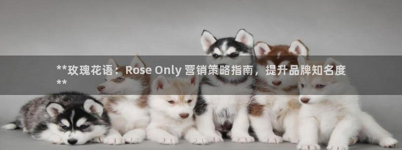 必赢集团网站官网