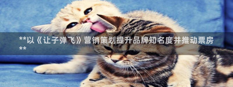 必赢官网