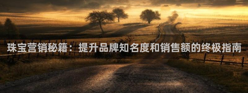 必赢这个软件怎么样啊