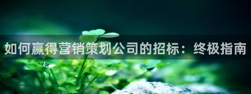 必赢网怎么打不开了