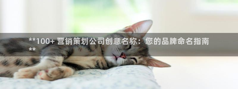 必赢亚赢网站官网下载手机版安装