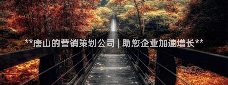 必赢科技北京有限公司