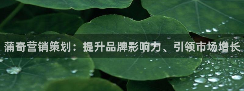 必赢客官方