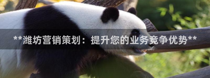 必赢8888