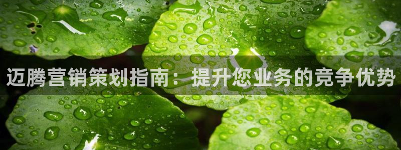 必赢手机app下载 最新版苹果