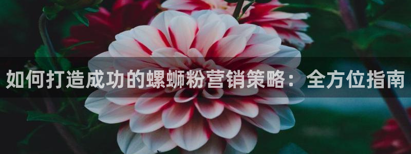 必赢国际app最新官网