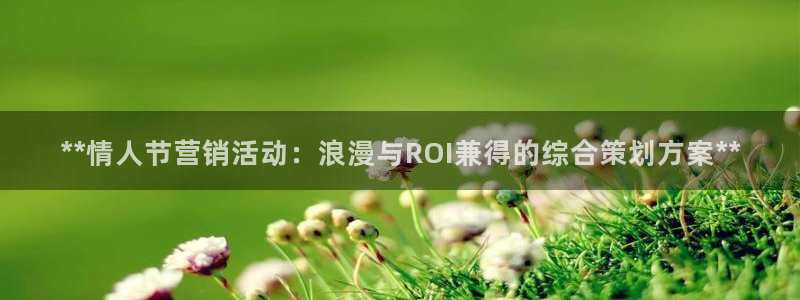 必赢网怎么打不开了