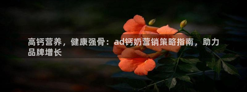 必赢国际a600典ccapp