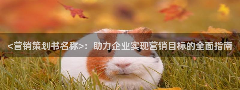 必赢官网下载app
