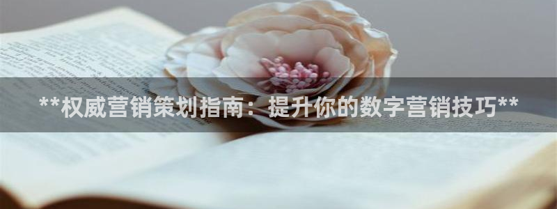 必赢网站是多少啊