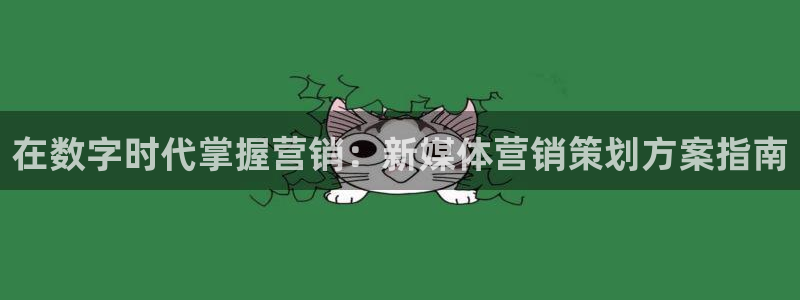 必赢网怎么打不开了呀