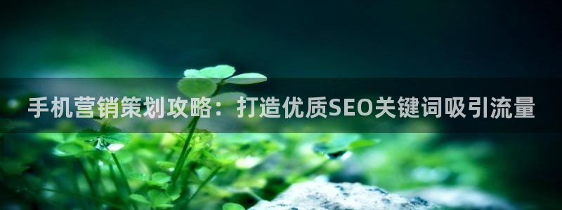 必赢网站进去