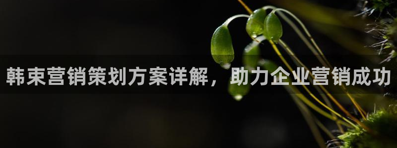 必赢国际app最新官网