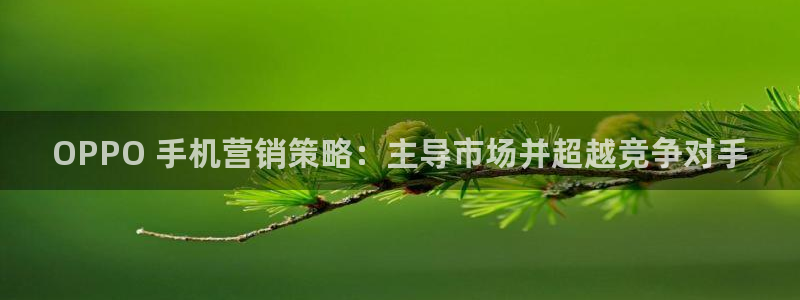 必赢集团网站首页
