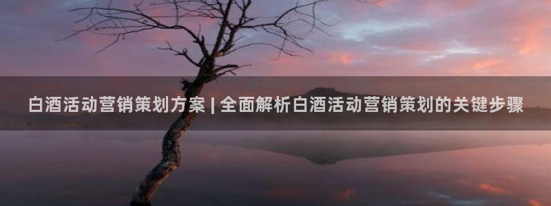 9965必赢游戏特色