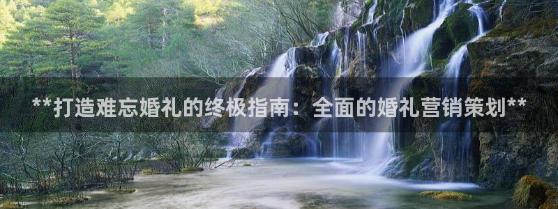 必赢资讯下载